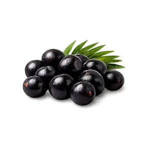 Xenopos — Açaí (Euterpe oleracea)