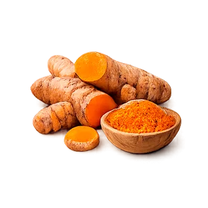 Xenopos — Cúrcuma (Curcuma longa)